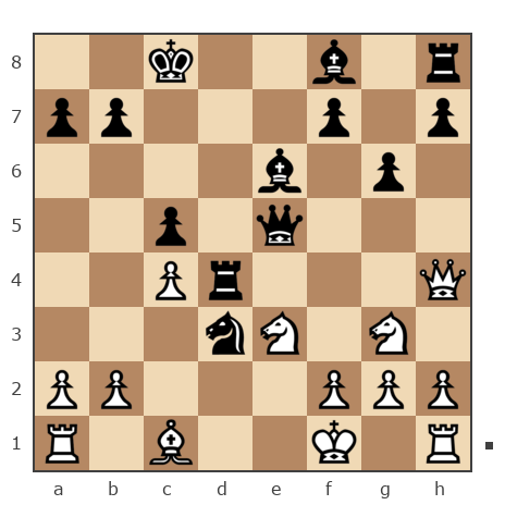 Game #142465 - Vladimir (Voldemarius) vs Павел (elektrikdj)
