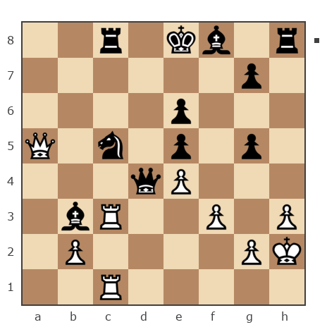 Game #491137 - Вшивков Сергей (SV_MOZG) vs Михаил Ракитин (Mihail Rakitin)