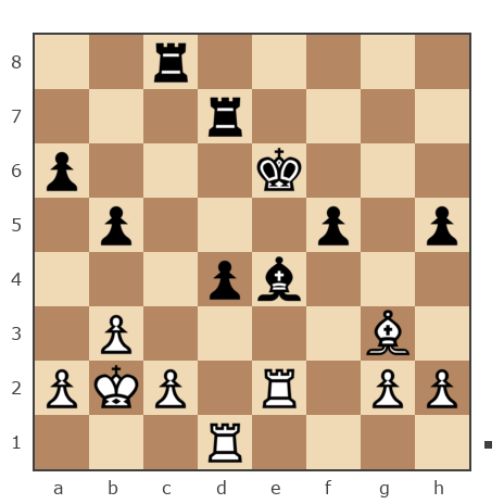 Game #6712762 - Толмачев Михаил Юрьевич (TolmachevM) vs hemzeyev (nardaran)
