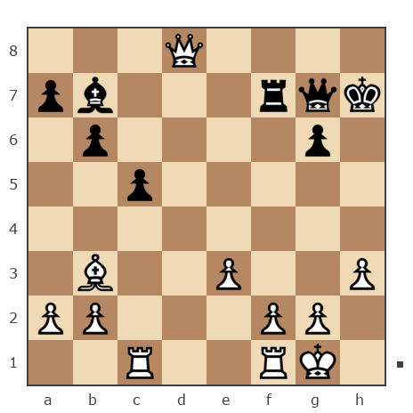 Game #7884348 - Mirziyan Schangareev (Kaschinez22) vs Борисович Владимир (Vovasik)
