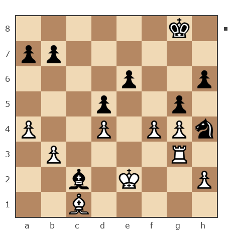 Game #7902209 - Фарит bort58 (bort58) vs Владимир (jkub)