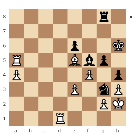 Game #7761841 - [User deleted] (Skaneris) vs Петрович Андрей (Andrey277)
