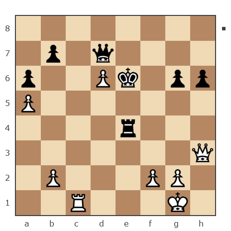 Game #7869233 - Павел Валерьевич Сидоров (korol.ru) vs Владимир Солынин (Natolich)
