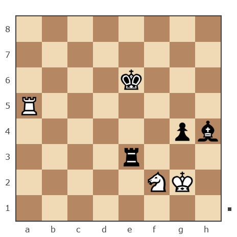 Game #6209809 - Раздолгин Сергей Владимирович (sergei-v-r) vs DW1828