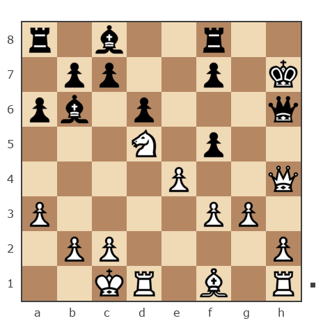 Партия №7929912 - VZ88 vs Дамир Тагирович Бадыков (имя)