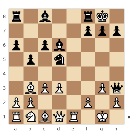 Game #7821608 - Колесников Алексей (Koles_73) vs Сергей (skat)
