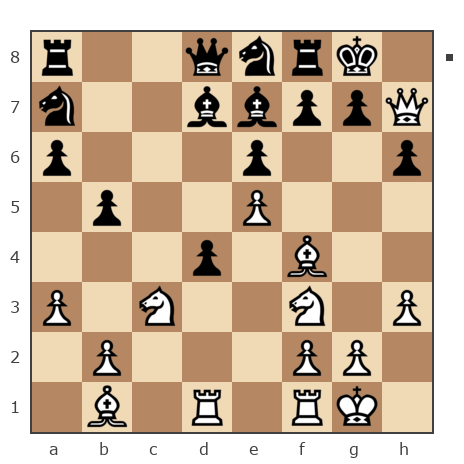 Game #7872601 - Павел Николаевич Кузнецов (пахомка) vs Ашот Григорян (Novice81)