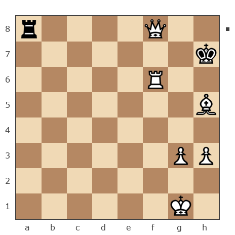 Game #7863327 - Владимир Солынин (Natolich) vs валерий иванович мурга (ferweazer)