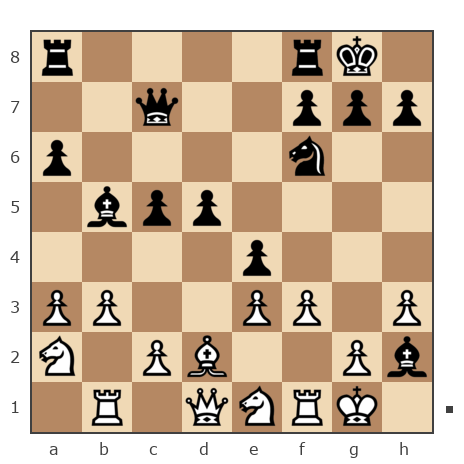 Game #7823089 - Алексей Сергеевич Сизых (Байкал) vs Александр Валентинович (sashati)