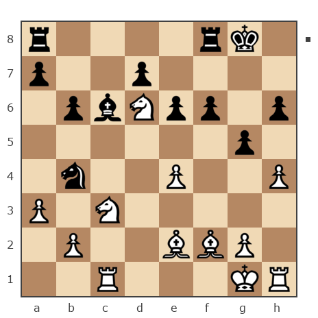 Game #142557 - Павел (elektrikdj) vs Vladimir (Voldemarius)