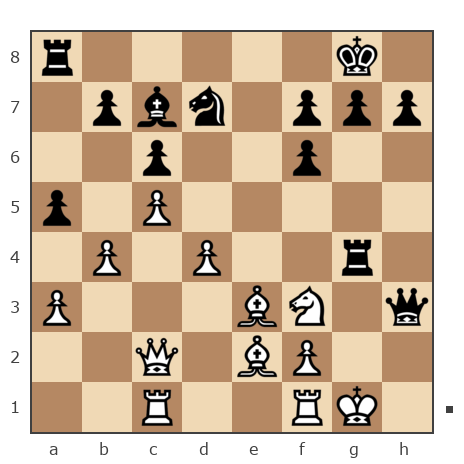 Game #7869026 - Ашот Григорян (Novice81) vs sergey urevich mitrofanov (s809)