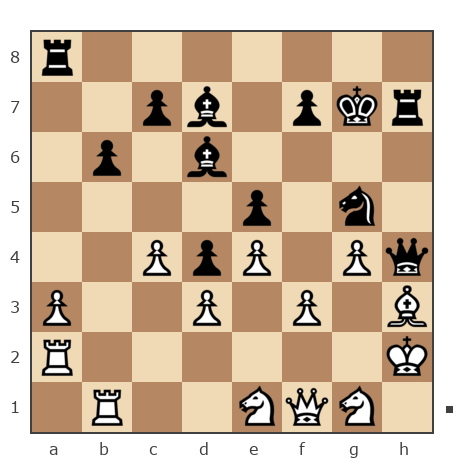 Game #6875389 - Петрокас Валентин Олегович (senior.valia) vs Раушкин