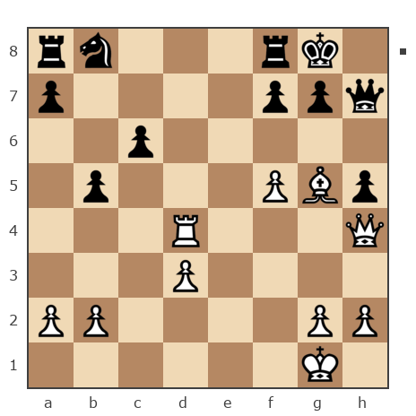 Game #1293191 - Сергей Сергеев (Сергей123) vs Ник (SmeshNik)
