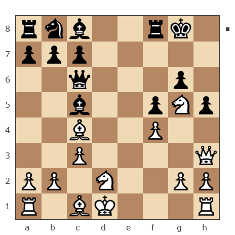 Game #7847236 - Анатолий Алексеевич Чикунов (chaklik) vs Петрович Андрей (Andrey277)