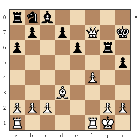 Game #6341329 - Юpий Алeкceeвич Copoкин (Y_Sorokin) vs сергей николаевич селивончик (Задницкий)