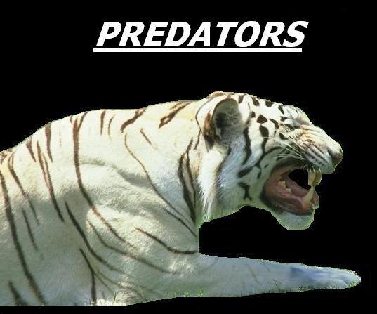 Predators