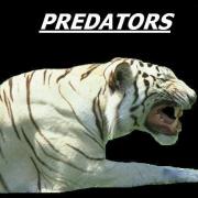 Predators